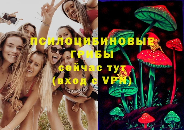 PSILOCYBIN Абдулино