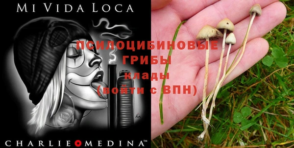 героин Абинск