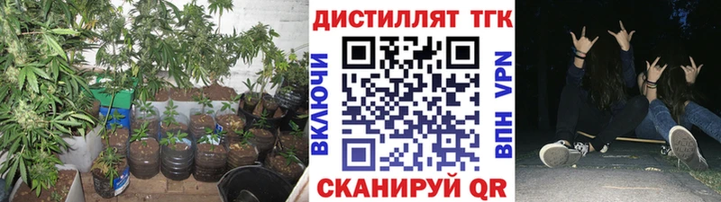 ТГК THC oil Кострома