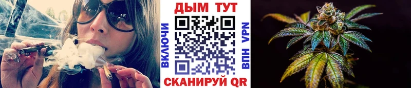 Каннабис ГИДРОПОН  как найти наркотики  Кострома 